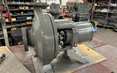 Efficient and Reliable: The Worthington D1011 2x1x10 Pump